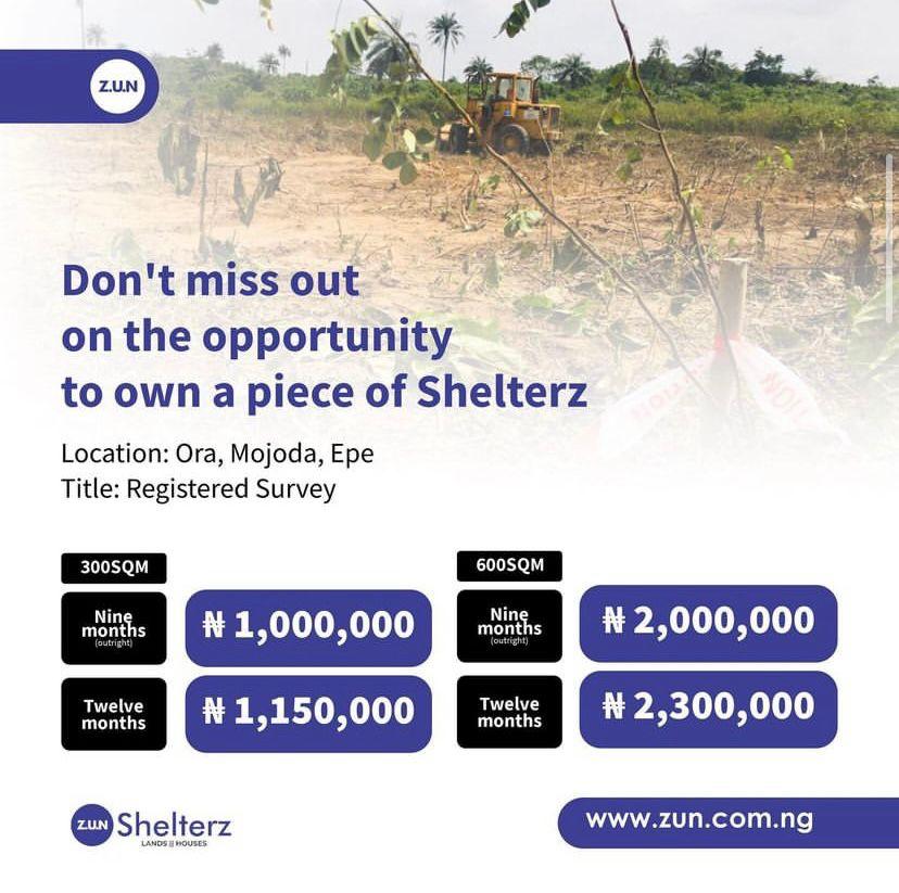 Shelterz flyer